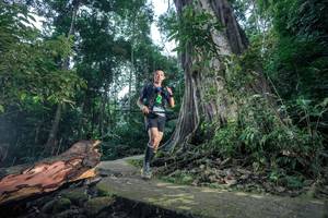 BIB: 
                            <button type="button" onclick="openModal(24809310)" class="btn btn-primary btn-sm float-right btn-popup" data-toggle="modal" data-target=".modal-high-quality">
                        <i class="fas fa-shopping-cart"></i> Add to Cart
                    </button>
                                            <button type="button" onclick="isThisMe(24809310, true)" class="btn btn-success btn-sm float-right btn-popup btn-isme hidden" data-toggle="tooltip" data-placement="bottom" title="นี่คือรูปของคุณใช่ไหม คลิกที่นี่เพื่อเอาเข้าอัลบั้ม">
                        <i class="fas fa-plus"></i> Add to album
                    </button>
                    <button type="button" onclick="isThisMe(24809310, false)" class="btn btn-warning btn-sm float-right btn-popup btn-isnotme hidden">
                        <i class="fas fa-ban"></i> Remove from album
                    </button>